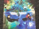 The Associates – Sulk – Germany vinyl LP, 1982