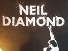 Neil Diamond - 20 Golden Greats, LP, (Vinyl)