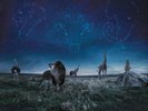Pattern-Seeking Animals Pattern-Seeking Animals (Vinyl) 12
