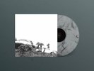 Timber Timbre - Hot Dreams / Vinyl LP limited edition on Smoke/Clear