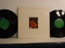 Terry Allen, Lubbock (On Everything) 1979 Fate Records 33996 Rock Folk 2LP's