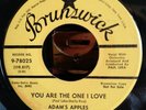 ADAMS APPLES YOU ARE THE ONE I LOVE /SAME USA BRUNSWICK ORIGINAL PROMO