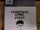 Sam Fender Seventeen Going Under Signed Diy Vinyl Hypersonic Missiles Cornetto