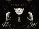 The Dead Weather - Horehound LP, 180 + LP, S/Sided, Etch, 180 + Album New