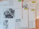 DIETER ZECHLIN - Beethoven - KLAVIERSONATEN / ETERNA 7-LP LOT