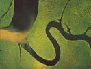 Dead Can Dance - The Serpent's Egg (Vinyl LP - Original - DE 1988)