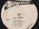 RARE REGGAE DUB LP STUDIO ONE DUB SPECIALIST 