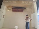 Harry Styles - Harry's House Exclusive Limited Edition Sea Glass Green Vinyl LP