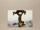 Shellac - Dude Incredible LP, Album, 180 + CD, Album New