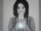 Bjork: Debut LP,  Vinyl, One Little Indian, Limited Edition booklet 1993