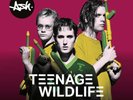 Teenage Wildlife: 25 Years Of Ash - BMG Rights  - (Vinyl / Rock (Vinyl))