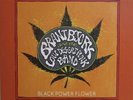 Black Power Flower By Brant Bjork (Black Vinyl) New (Kyuss & Vista Chino)