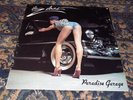 ZEBRAS PARADISE GARAGE ORIGINAL 1978 CANADIAN LP RARE INDIE HOT ROCK RARE