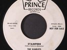 SCARLETS: stampede PRINCE 7