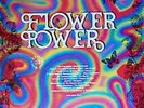 2xLP Jimi Hendrix, The Byrds, The Beach Boys a.o. Flower Power NEAR MINT CBS