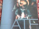 THE DELGADOS - HATE - UK MANTRA RECORDINGS 2002 - SCARCE INDIE ROCK VINYL ALBUM