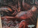 ORANSSI PAZUZU CANDY CANE split vinyl limited 444 ex