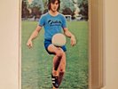 Grimsby Fishmarket 4 compilation cassette. Blueboy, Brighter, Orchids, Stereolab