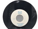 The Beach Boys ‎– Child Of Winter & Good Vibrations Live RARE Randy Records 45