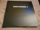SALTCREEK I RARE SELF TITLED PRIVATE FOLK PSYCH ROCK LP ON UNITED SOUND