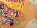 Lo Mejor de Los Dandy's Box Set 