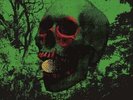 John Dwyer - Witch Egg LP NEW Oh Sees