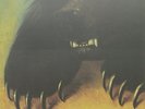 `MCPHERSON, JD` LET THE GOOD TIMES ROLL (US IMPORT) VINYL LP NEW