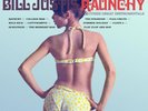 Bill Justis - Raunchy & Other Great Instrumentals NEW Sealed Vinyl LP Album