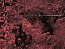 Integrity Systems Overload (Vinyl) 12