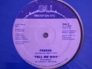 FREEZE - Tell Me Why 12” Very Rare Private Press Boogie Funk 12” VG+