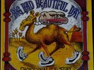 It's A Beautiful Day - Choice Quality Stuff / Anytime (LP, Album)