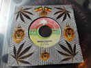 Bright Star-Bertie Bright – Didn't I Told You Love-7' - mp3