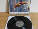The Stone Roses - What The World Is Waiting For 12