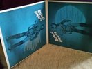 David Bowie pinups Vinyl LP Schallplatte Sammler 12