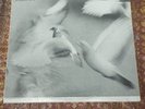 Donald Byrd Free Form LP Blue note First stereo pressing