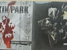 LINKIN PARK  Hybrid Theory LP + Living Things LP Vinyl