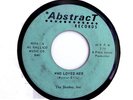 THE SHADES, INC 45 Who Loved Her / Sights ABSTRACT Rec '66 HEAR Rare FLORIDA