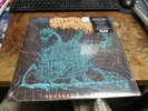 SANGUISUGABOGG Tortured Whole LP sealed BLACK VINYL Record DEATH METAL Debut NEW