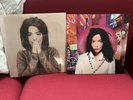 Bjork - Post & Debut Vinyl Records