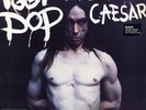 Iggy Pop - American Caesar '93 2xLP UK ORG  Malcolm Burn Eric Schermerhorn