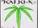 KAI KLN: hair of the bud INSERT THIS WAY 7