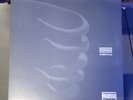 Tool Undertow Grey Cover Clear Vinyl 1993 Great Condition