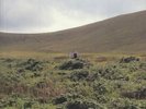 ZOVIET FRANCE - A Long Walk - Vinyl (2xLP)