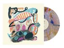 Future Islands - On The Water (New Indie Exclusive Colored Vinyl LP)