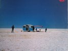 Cold Chisel Circus Animals Australia pressing 12'' vinyl Lp 1982 OZ rock rare