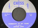 HOWLIN' WOLF: somebody in my home / nature CHESS 7