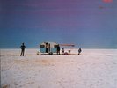 Cold Chisel Circus Animals Australia press 12'' vinyl Lp MINT 1982 OZ rare