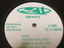 311- Dammit (LP) JAPAN LTD  VINYL sublime sugar ray zebrahead nofx afi
