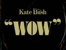 Kate Bush - Wow - Vinyl Record 7.. - P6035A