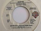 Modern Soul Boogie Stepper 45 SUNFIRE Never Too Late For Your Lovin' HEAR
